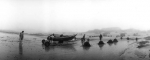 medium_11_Apulia-Minho-Portugal-juin_1991-la_récolte_du_goémon-photo_Georges_Dussaud.jpg